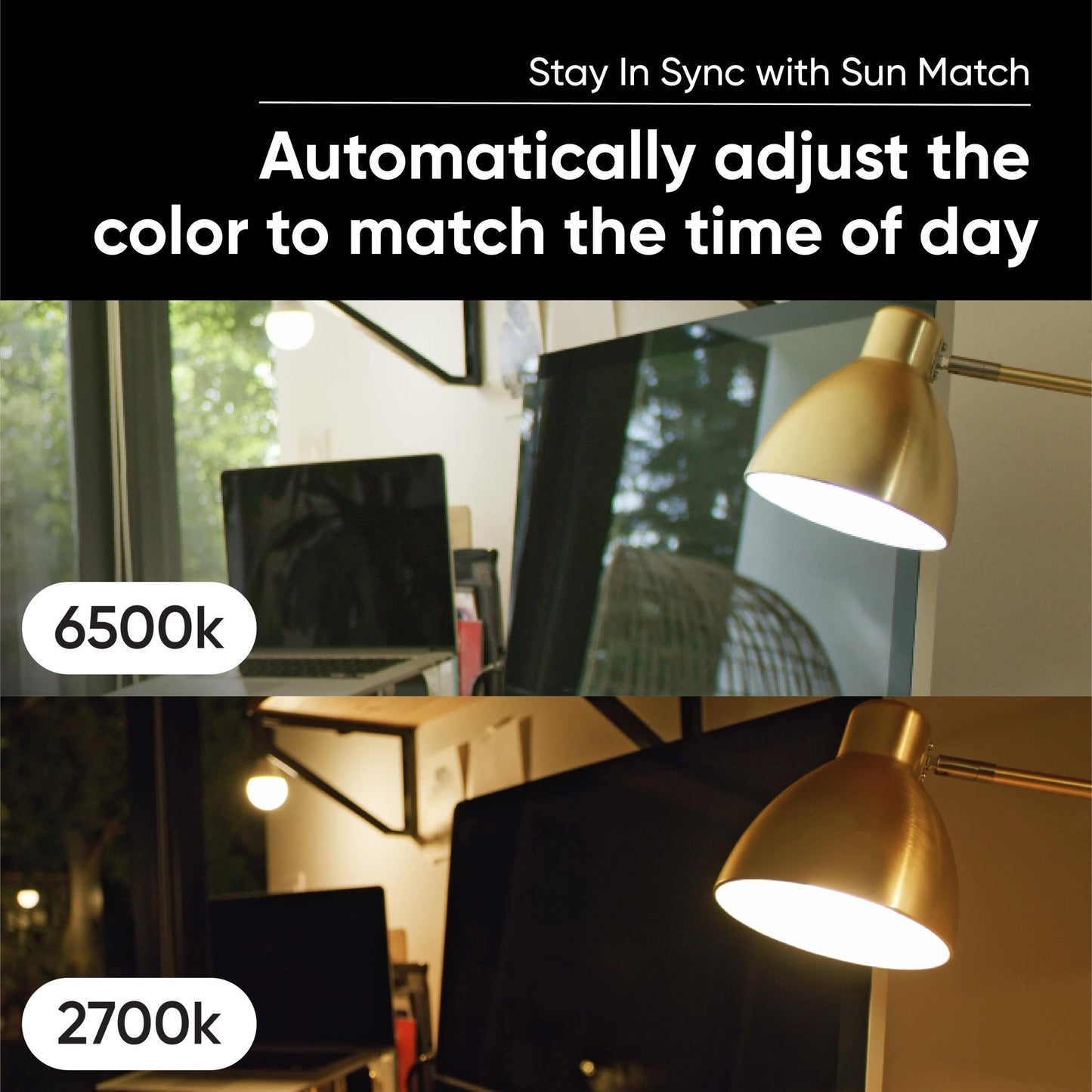 Wyze Bulb White