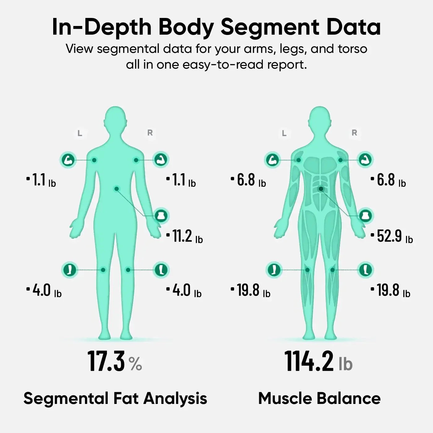 Wyze Scale Ultra BodyScan